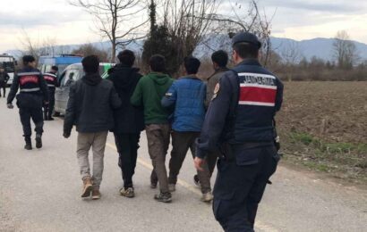 Sakarya Akyazı'da 7 düzensiz göçmen yakalandı